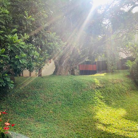 47 Alfred House - Free Pickup From Kandy City Exterior photo